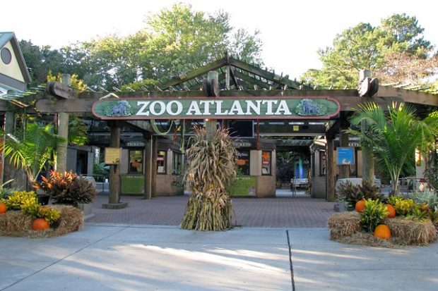 Vườn thú Atlanta - Thiên đường của các loài động vật